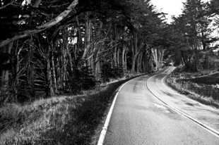 Stormy Hwy 1-6446 Stormy Hwy 1-6446